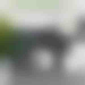 Forvandl en ekstra rulle til dekoration – 16 cm | ROLLSHEEP